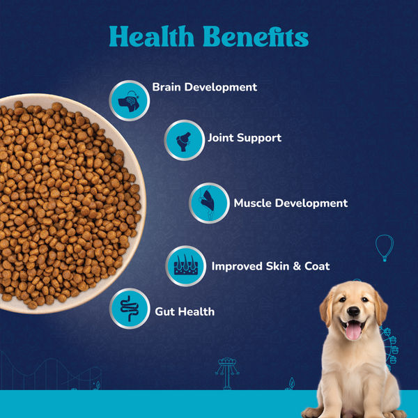 Carniwel Fresh Lamb Large Breed Puppy Dog Dry Food