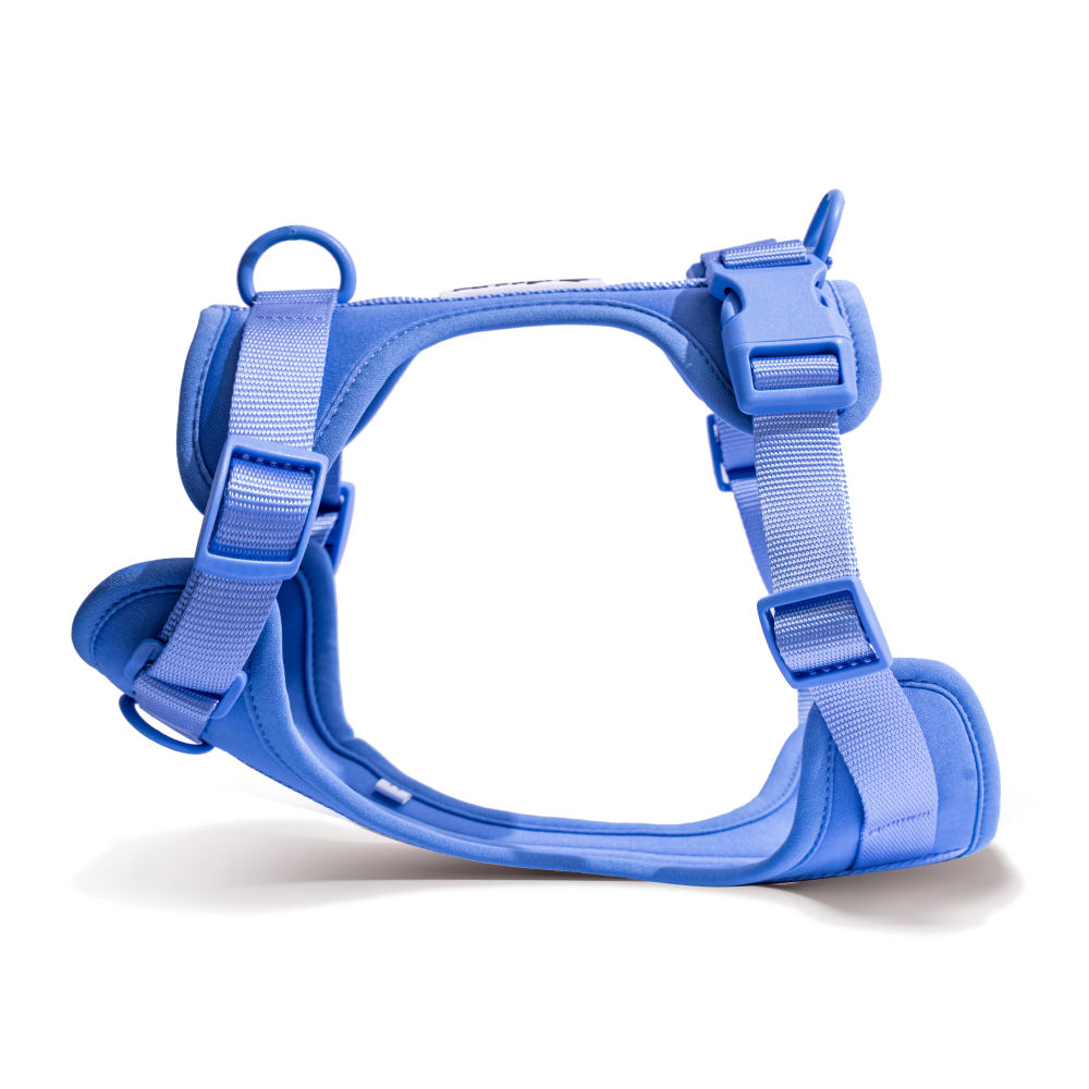 Furry & Co Bold Harness for Dogs (Everest Blue)