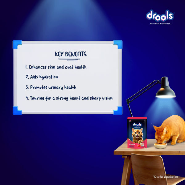 Drools Salmon Mousse Adult Cat Wet Food