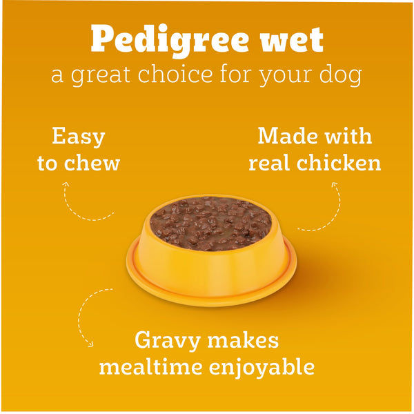Pedigree Chicken & Liver Chunks in Gravy Puppy Wet Dog Food