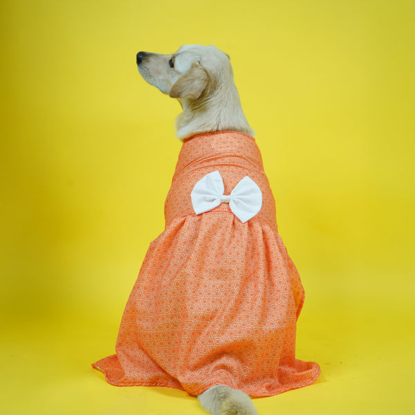Skatrs Marigold Mandala Printed Dress for Dogs and Cats (Orange)