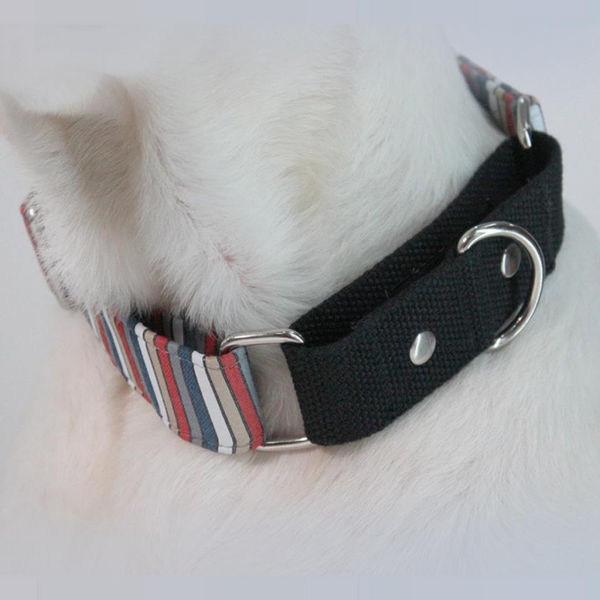 Dogobow Multi Stripe Martingale Collar for Dogs (Black) (Get a Bow Free)