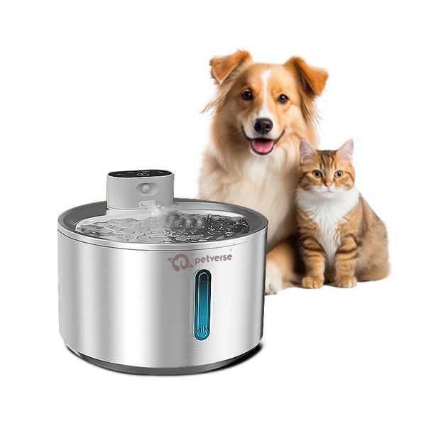 Petverse Smart Motion Sensor Pet Water Fountain for Dogs & Cats (Silver)