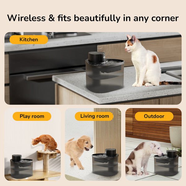 Petverse Wireless Water Fountain for Dogs & Cats (Black)