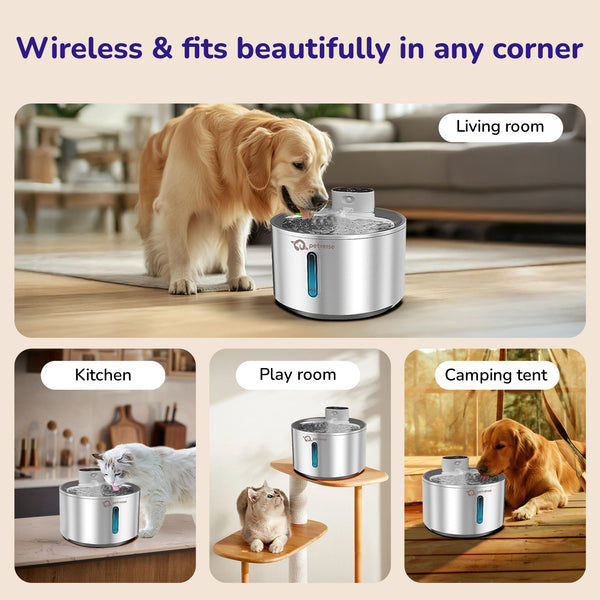 Petverse Smart Motion Sensor Pet Water Fountain for Dogs & Cats (Silver)