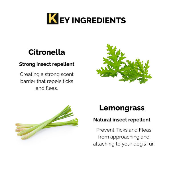 Moe Puppy Natural Lemongrass & Aloe Vera Anti Tick Spray for Dogs & Cats