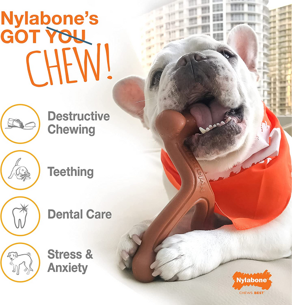 Nylabone Beef Flavor Power Chew Femur Dog Bone for Dogs