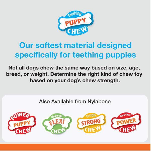 Nylabone Puppy Teething Chicken Flavoured Dental Bone Chew Toy for Dogs (Blue)