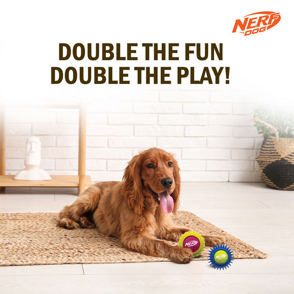 Nerf Dog Set of 2 Durable Squeaky Tennis Balls for Dogs