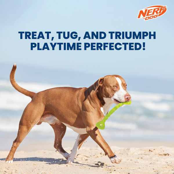 Nerf Dog Bone Tug Interactive Treat Dispenser Toy for Dogs (Green)