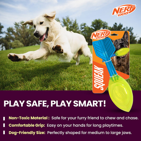 Nerf Dog Squeak Vortex Chew Toy for Dogs (Blue/Green)