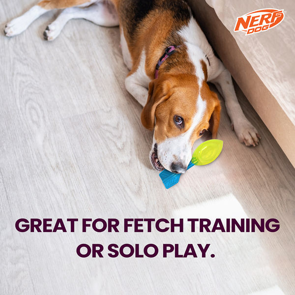 Nerf Dog Squeak Vortex Chew Toy for Dogs (Blue/Green)