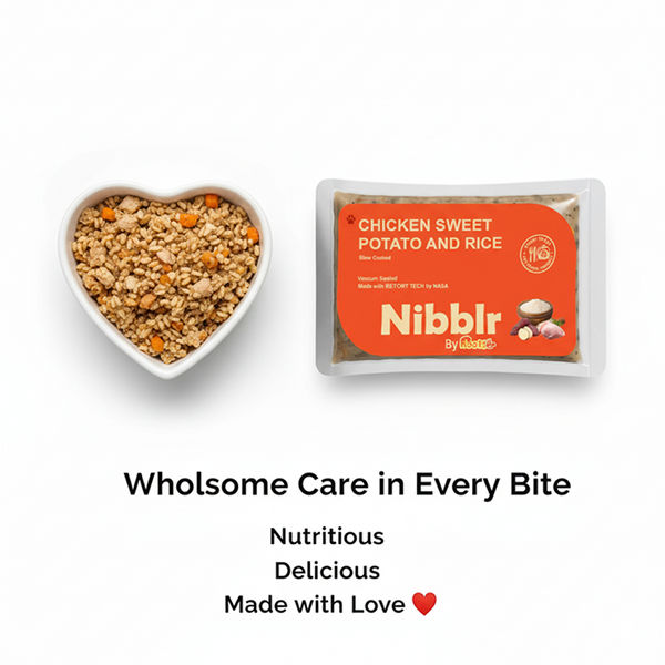 Nibblr By Nootie Wholesome Chicken Sweet Potato & Rice Ready to Eat Meal Dog Wet Food