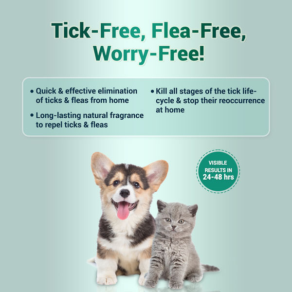 Natural Remedies Nomo Ticks Home Spray for Dogs and Cats