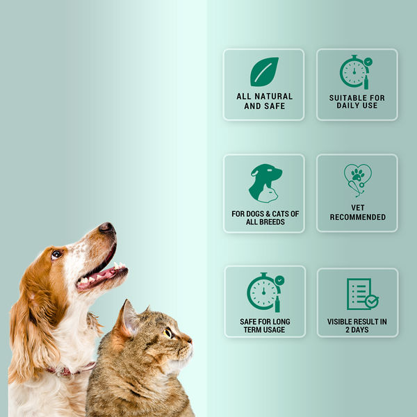 Natural Remedies Nomo Ticks Home Spray for Dogs and Cats