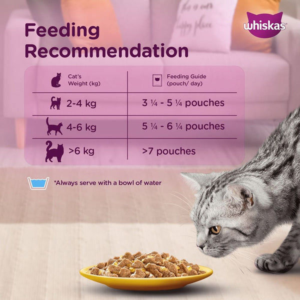 Whiskas Salmon in Gravy Meal and Ocean Fish Adult Cat Wet Food Combo