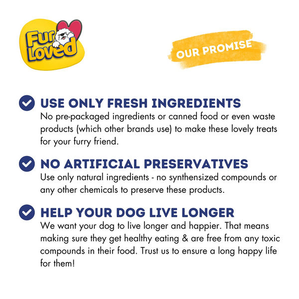 FurLoved Carrot Chicken Dog Treats