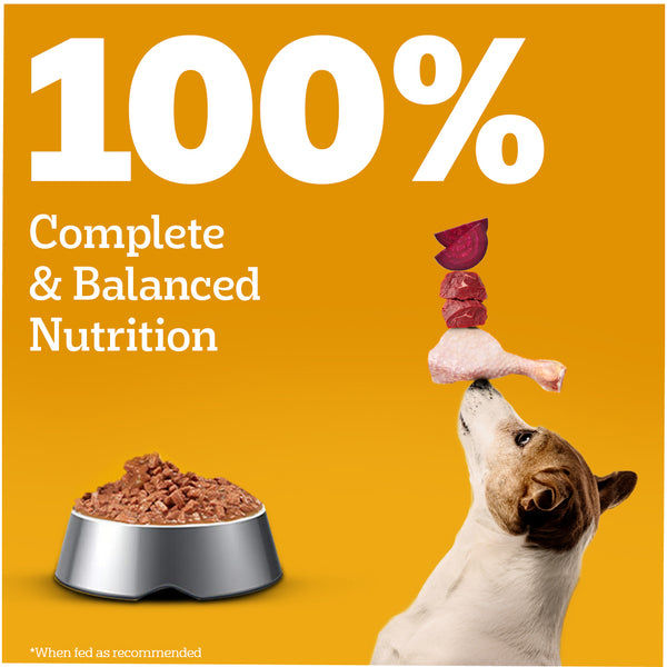 Pedigree Chicken & Liver Chunks in Gravy Puppy Wet Dog Food