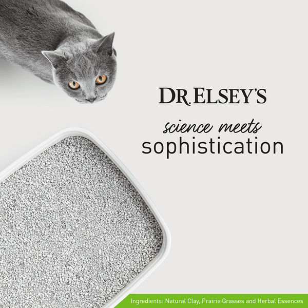 Dr. Elsey&