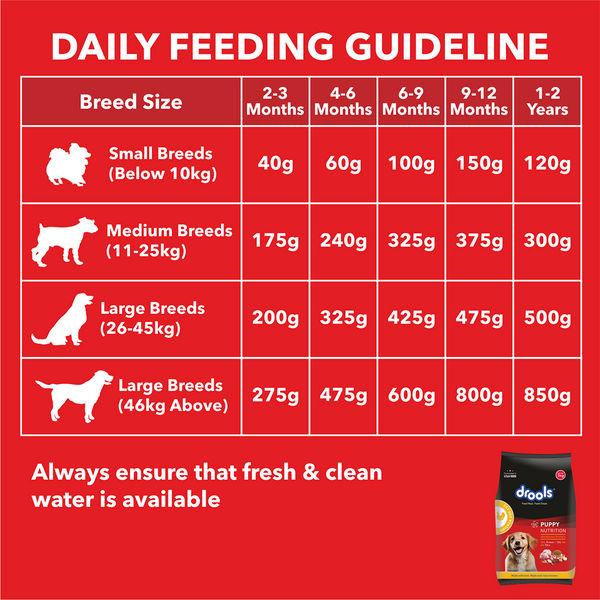 Drools Meat and Milk Puppy Dog Dry Food