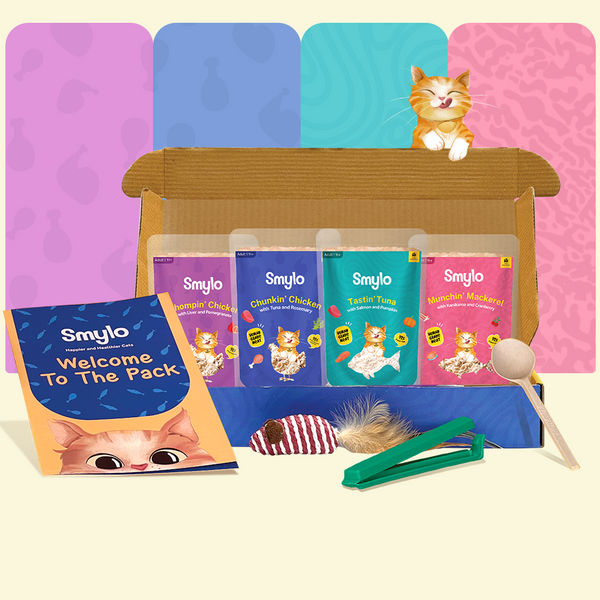 Smylo Adult Trial Box, Tuna, Chicken & Mackerel, Fresh & No-Preservative Wet Cat Food