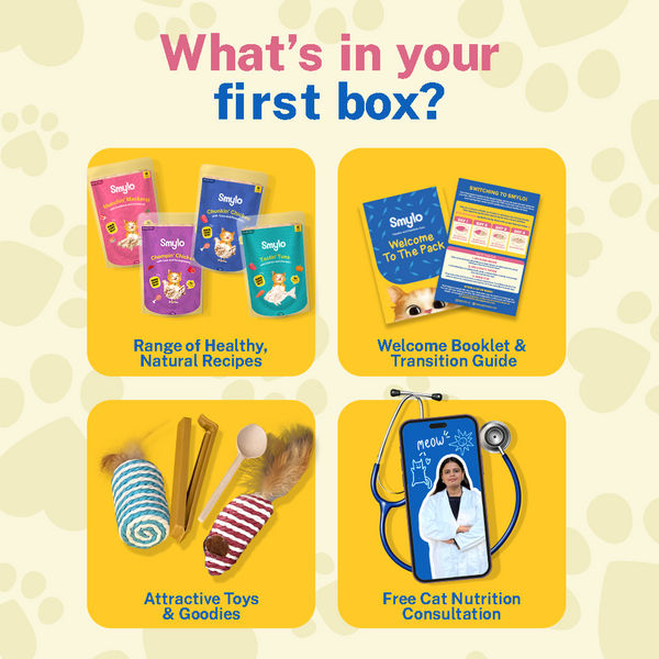 Smylo Adult Trial Box, Tuna, Chicken & Mackerel, Fresh & No-Preservative Wet Cat Food