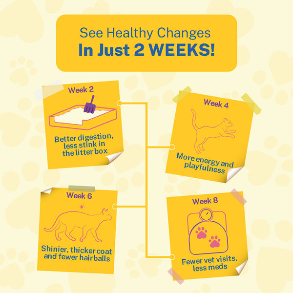 Smylo Adult Trial Box, Tuna, Chicken & Mackerel, Fresh & No-Preservative Wet Cat Food