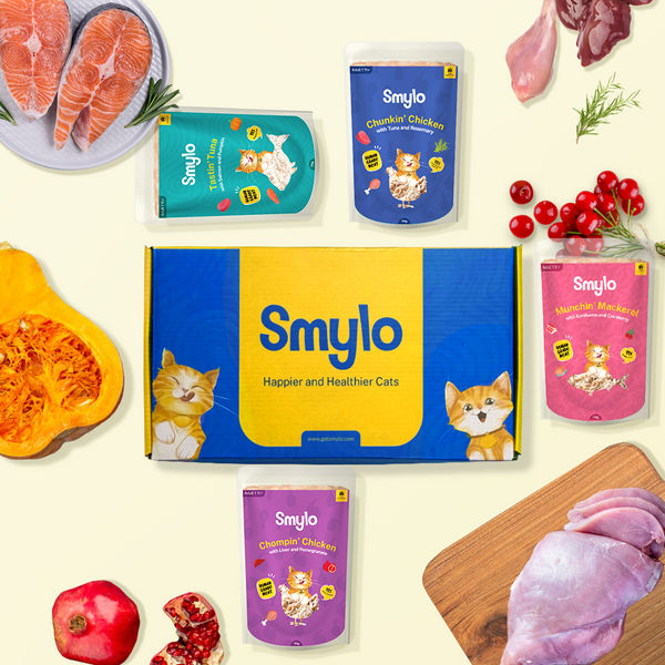 Smylo Adult Trial Box, Tuna, Chicken & Mackerel, Fresh & No-Preservative Wet Cat Food