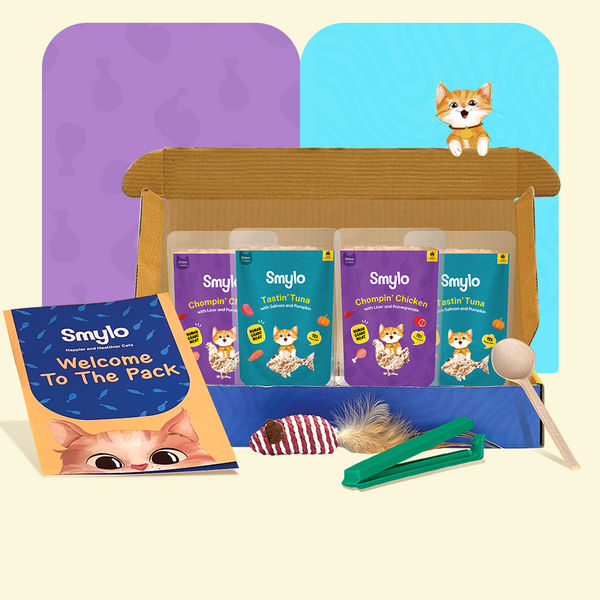Smylo Kitten Trial Box, Tuna & Chicken, Fresh & No-Preservative Wet Cat Food