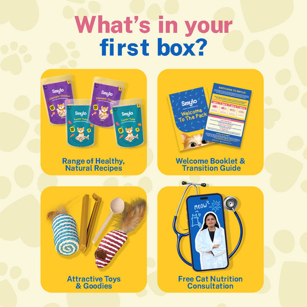 Smylo Kitten Trial Box, Tuna & Chicken, Fresh & No-Preservative Wet Cat Food