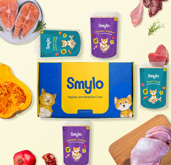 Smylo Kitten Trial Box, Tuna & Chicken, Fresh & No-Preservative Wet Cat Food