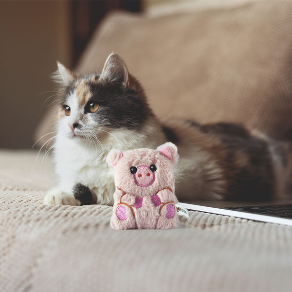 Barkbutler x Fofos Floppy Crinkle Pig Catnip Toy for Cats