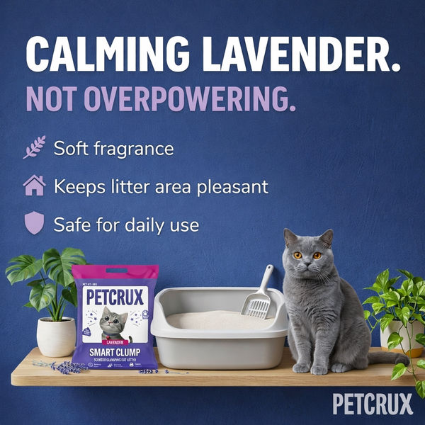 Petcrux Lavender & Lemon Scented Smart Clumping Cat Litter