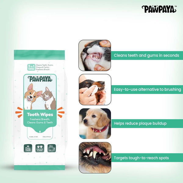 Pawpaya Tooth Wipes for Dogs and Cats