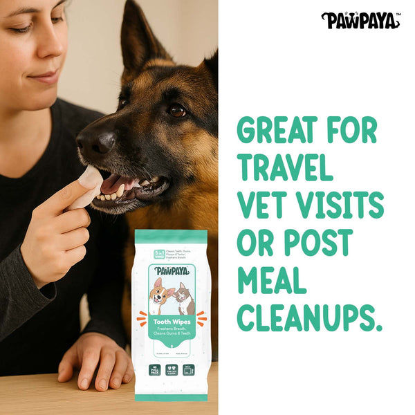 Pawpaya Tooth Wipes for Dogs and Cats