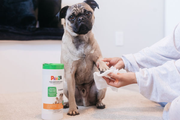 PawZ SANIPAW Wipes for Dogs (White)