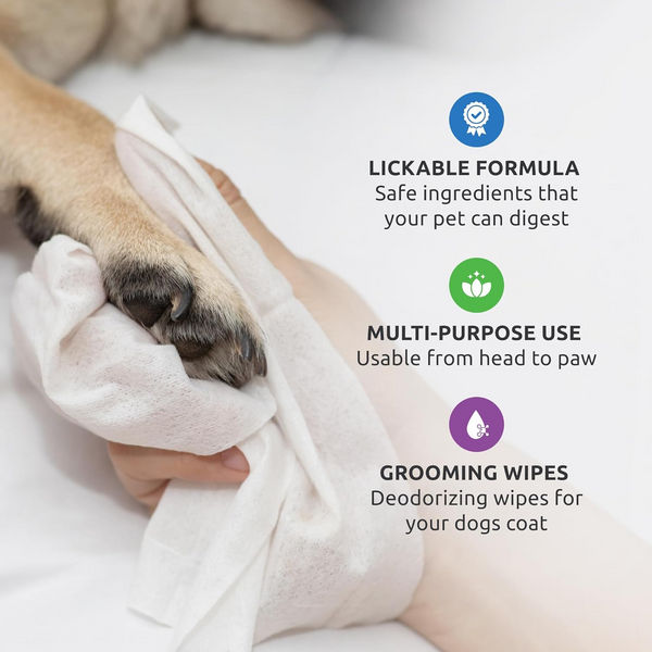 PawZ SANIPAW Wipes for Dogs (White)