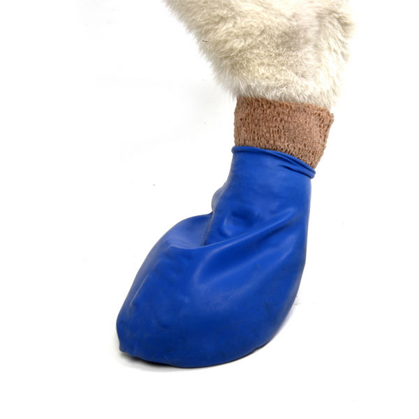 Protex PawZ Disposable and Reusable Boots for Dogs (Blue)
