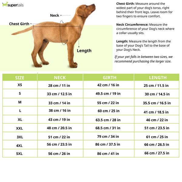 Pets Way Frost Winter Jacket for Dogs (Wine)