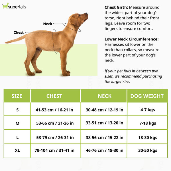 Pawpourri Adjustable Reflective Padded Harness for Dogs (Orange)