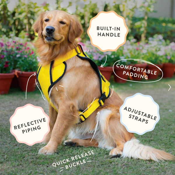Pawpourri Adjustable Reflective Padded Harness for Dogs (Grey)