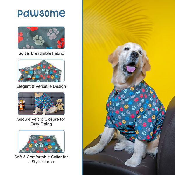 15buttons Pawsome Shirt for Dogs