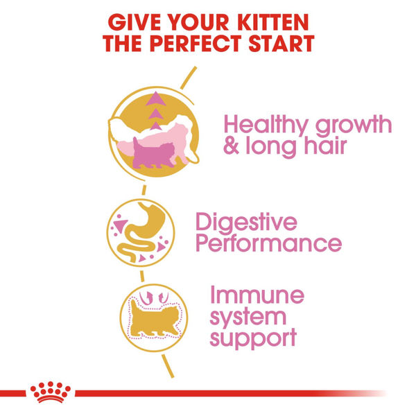 Royal Canin Persian Kitten Food Dry Cat Food