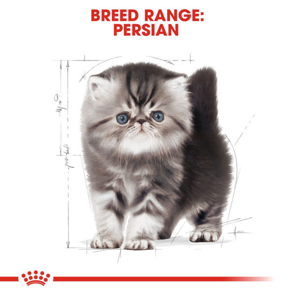 Royal Canin Persian Kitten Food Dry Cat Food