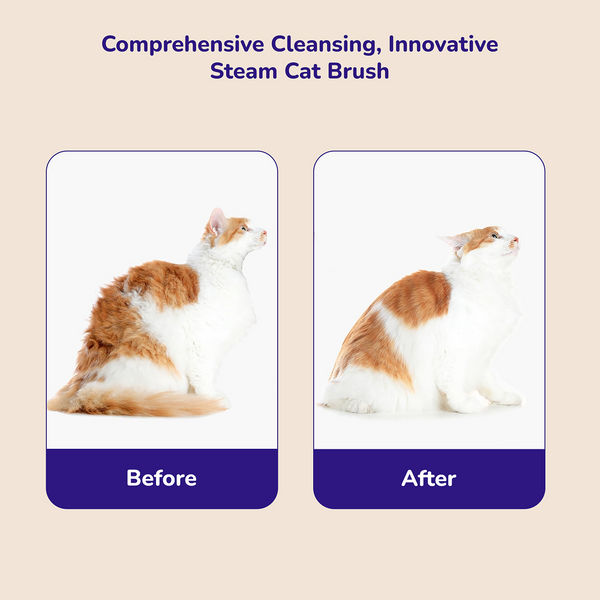 Petverse Steam Brush for Dogs & Cats