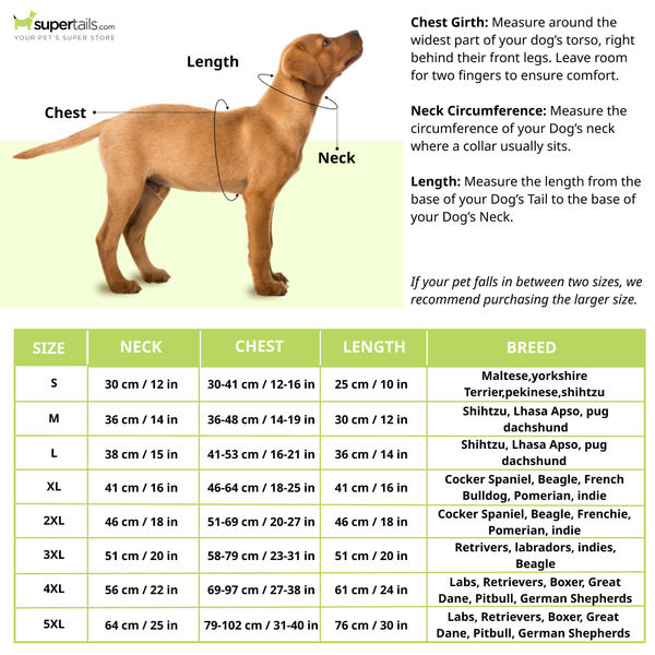 Pet Set Go Cape Style Raincoat for Dogs (Yellow)