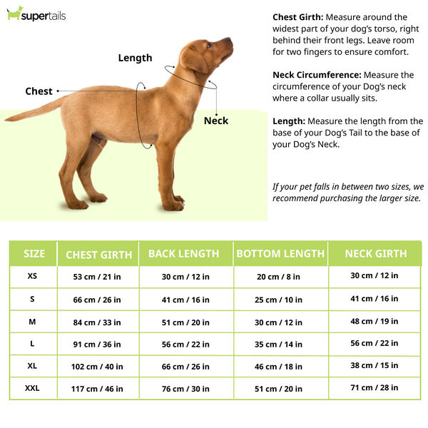 Pawsindia Royal Pups Of Bangalore T20 Pets Premier League Jersey for Dogs | Indian Pet League