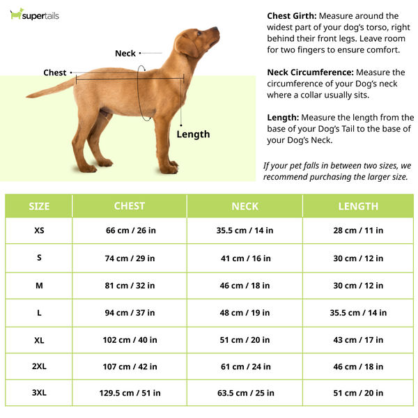 15 Furries Sanskriti Kurta for Dogs