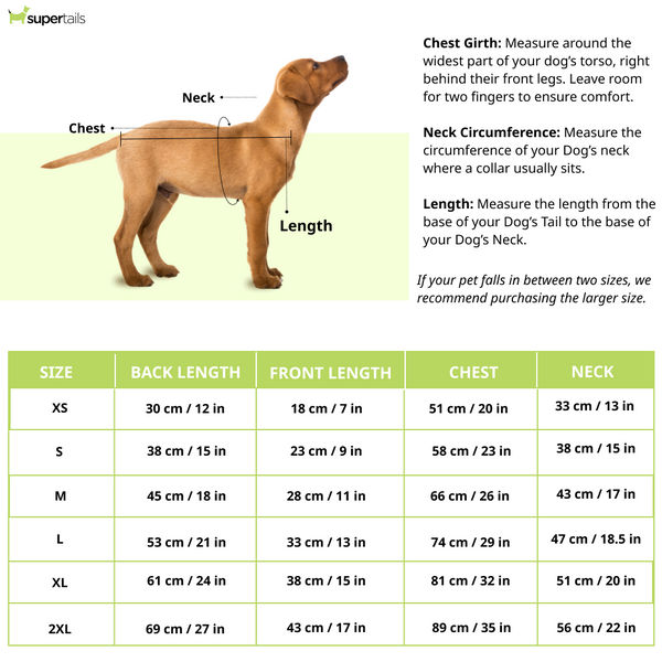 Pet Set Go Raisin’s Sweater for Dogs and Cats (Blue & Black)