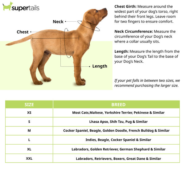 Petsnugs Heart Sweater for Dogs and Cats (Red)